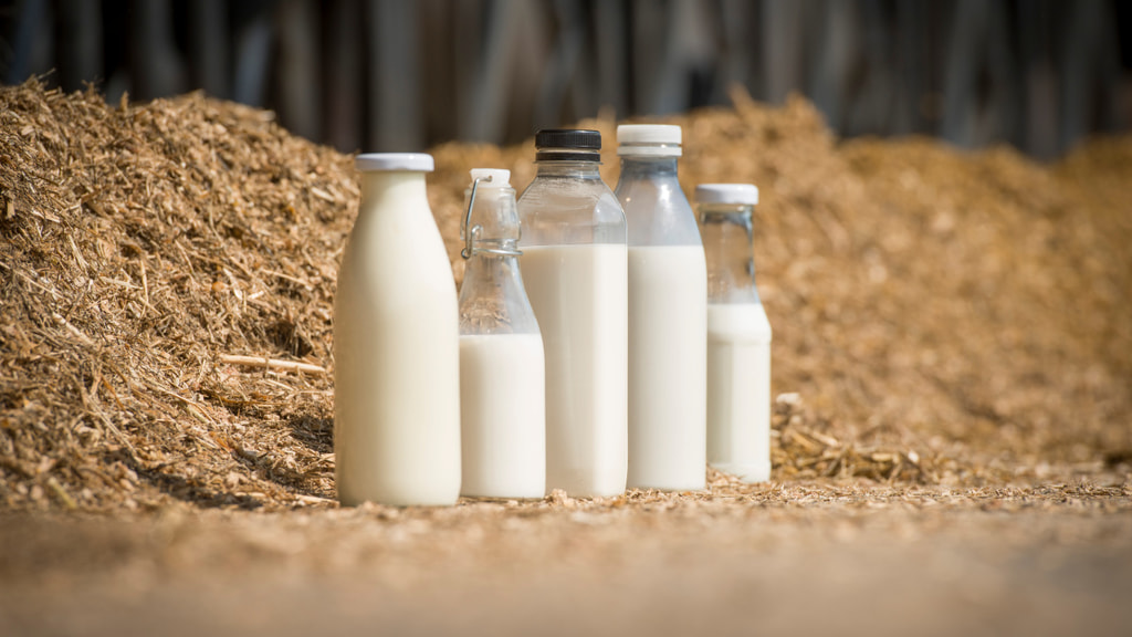 Milch: Welche Lieferbeziehung ist gewünscht? | Wochenblatt für
